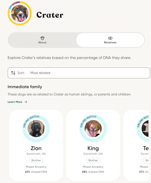 relative finder results for a dog named crater
